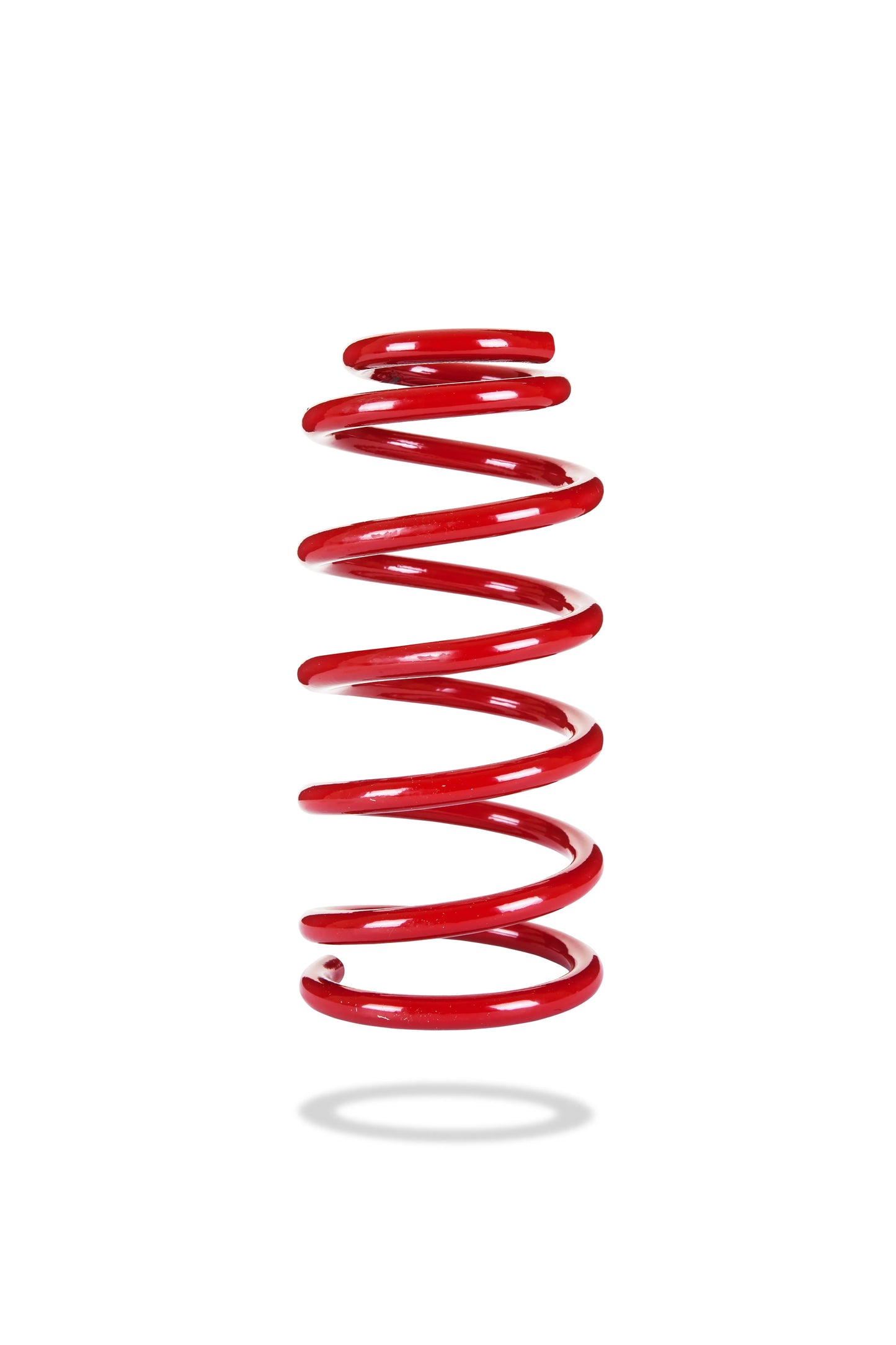 2923