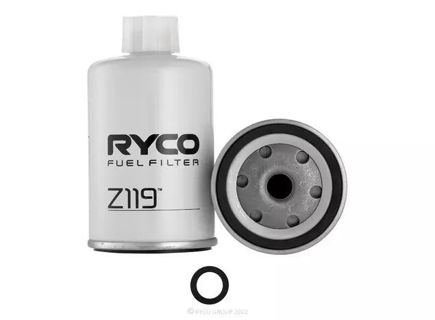 Z119